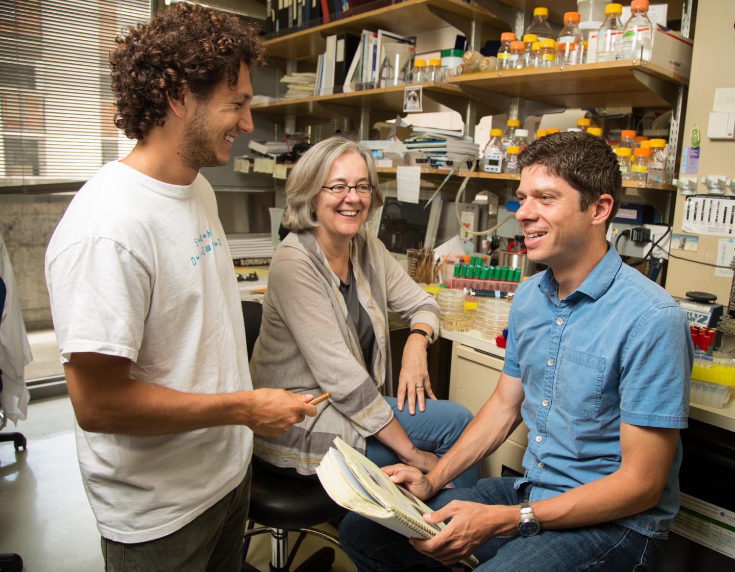 Salk Institute - Lundblad lab