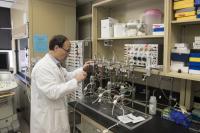 Exercise before Surgery Can Protect both Muscle and Nerves, Study Suggests (3 of 3)