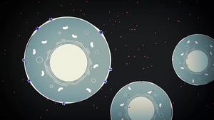 The moment a cell shuts the door on free radicals. Illustration: Catrin Jakobsson, Lund University