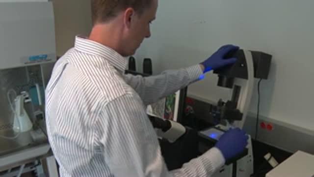 A 'Toolbox' for Tissue Engineering -- Biomedical Engineering at RIT