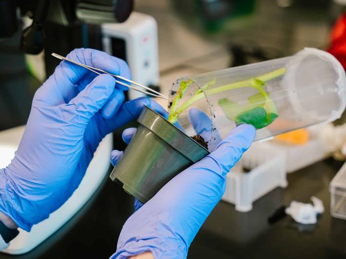 Molecular Lock Helps Power Life on Earth