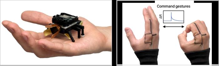 KAIST Develops a Beetle-Inspired Soft Robot That Operates with Artificial Muscles and Sensory Feedback