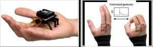 KAIST Develops a Beetle-Inspired Soft Robot That Operates with Artificial Muscles and Sensory Feedback