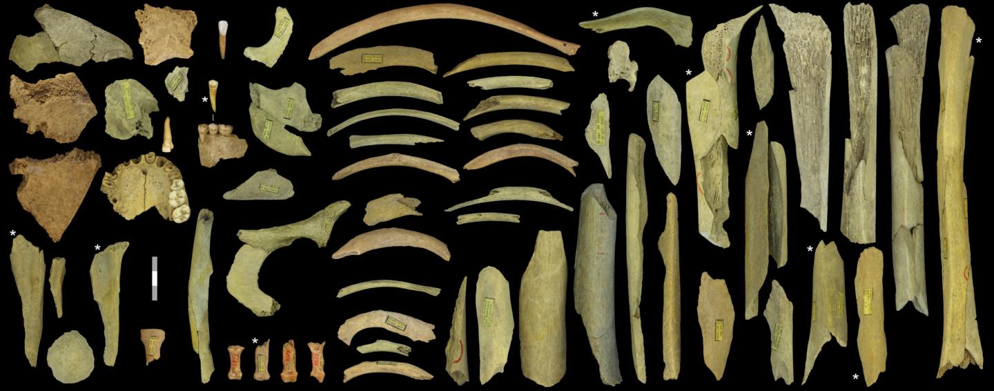 Five Individuals