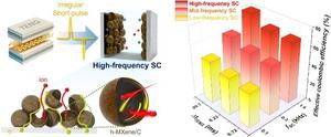 Pulse-Charging Energy Storage for Triboelectric Nanogenerator Based on Frequency Modulation