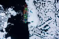 Life on the Floor of the Arctic Ocean, with Rigor and in Detail (2 of 3)