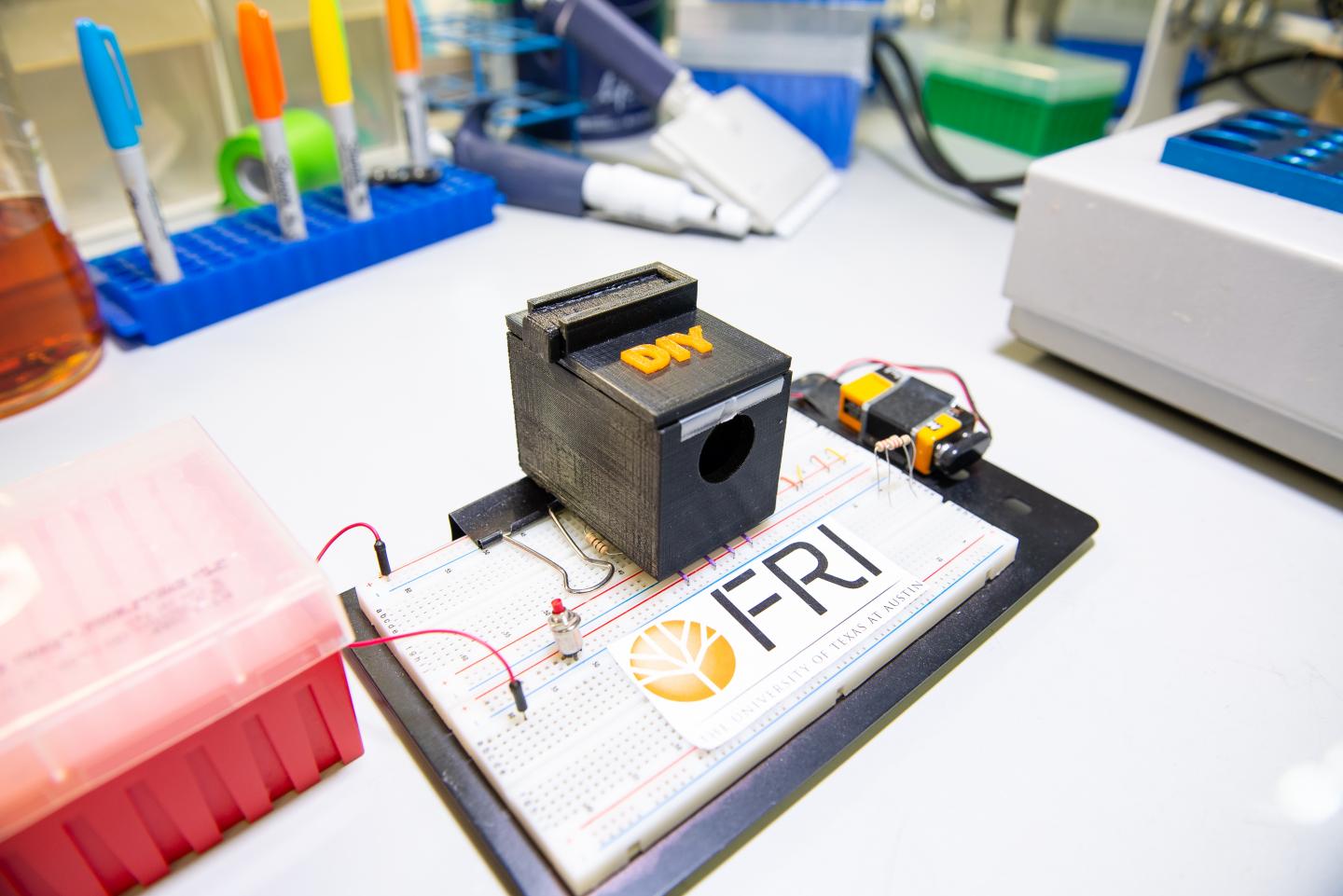 Mosquito Species Analyzer