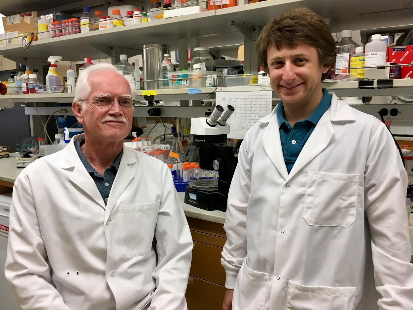 Study Investigators