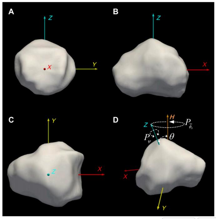 Fig. 3. Shape and spin state of Apophis. (A to C) Nonconvex shape model based on radar. (D) Short-axis tumbling period convention for Apophis.