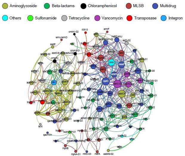 Antibiotic Resistance Genes