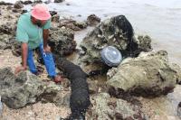 Beached FAD in New Caledonia
