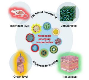 Shedding light on the invisible: aggregation-induced emission-based bioimaging for assessing the environmental impact of emerging nanoscale pollutants