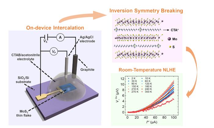 In-situ electrochemical intercalation of CTA+ into MoS2 thin flakes