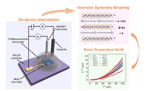 In-situ electrochemical intercalation of CTA+ into MoS2 thin flakes