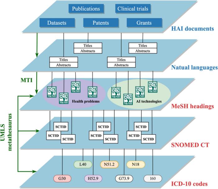 A hierarchical overview of the study pipeline