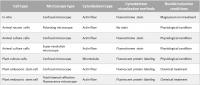 List of microscopic images in which the proposed method was able to detect cytoskeletal bundles