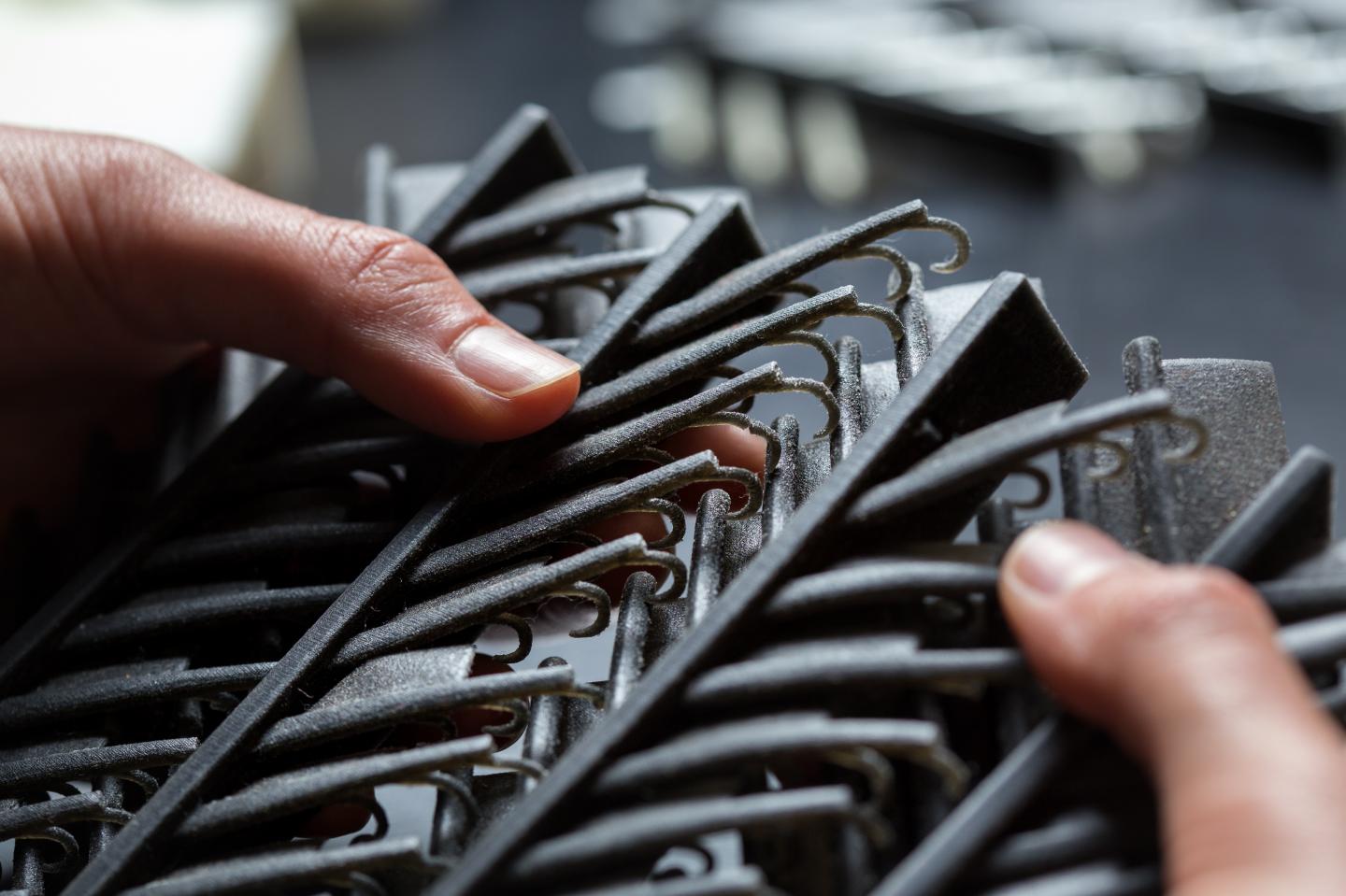 3D Printed Model of Barbs and Barbules in a Feather