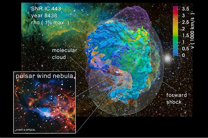 Simulated 3D Model of IC 443