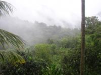 The NSF Luquillo CZO-LTER Site Before the Passage of Hurricane Maria