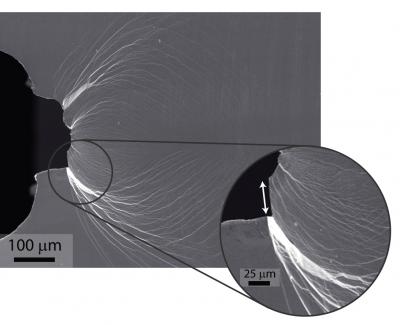 Metallic Glass