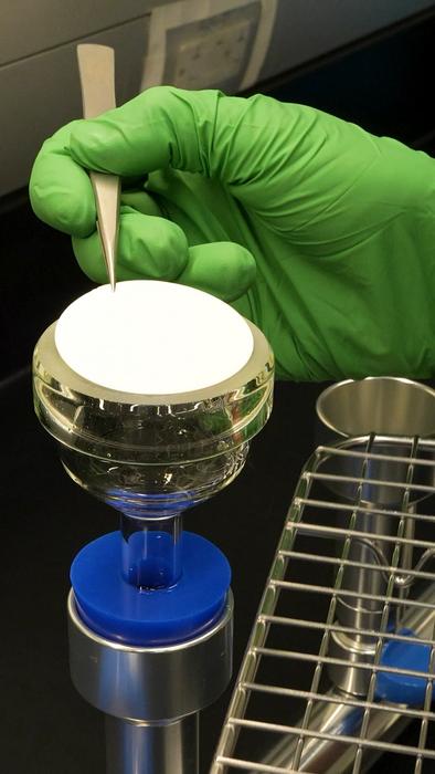 The chemistry of rainwater
