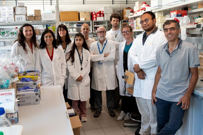 The Research Team at UniTrento