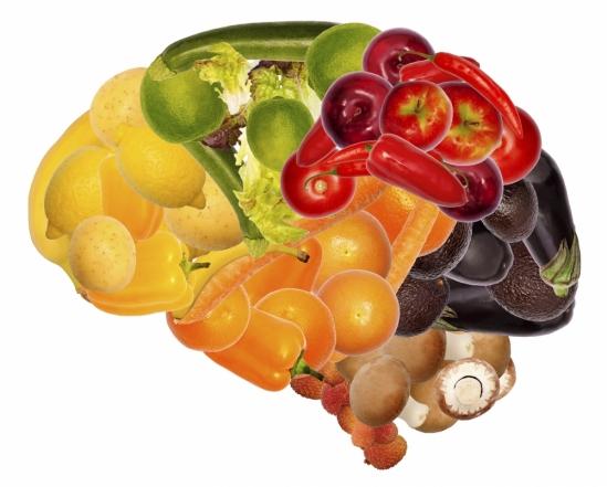 Brain