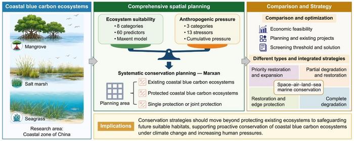 A dual-constraint spatial planning framework for proactive blue carbon conservation in China.