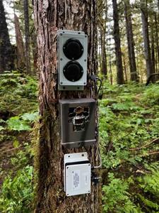 Acoustic camera system