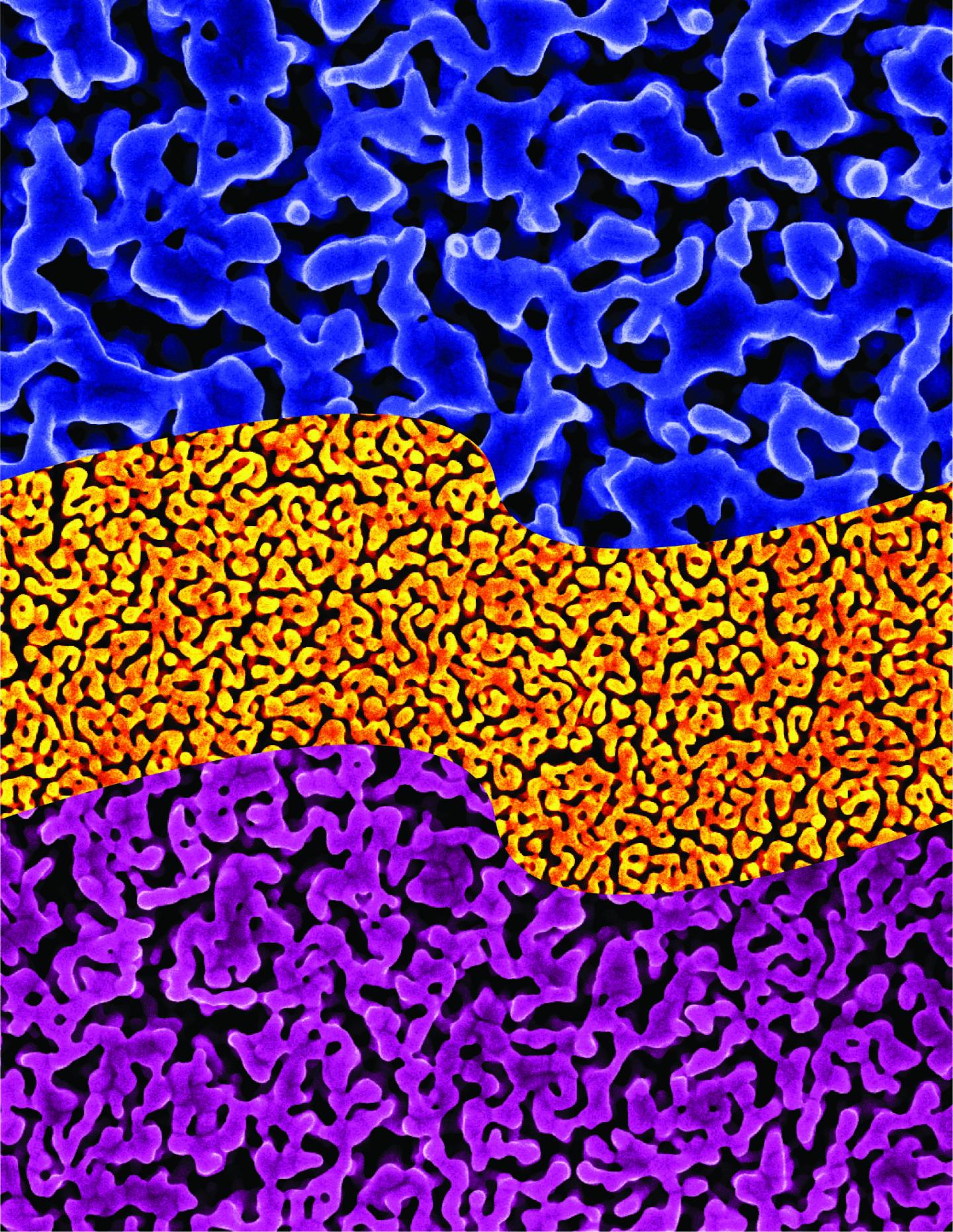 Nanoporous Gold