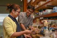Dr. Kenicki Sajiki and Yuria Tahara, Okinawa Institute of Science and Technology