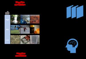 metabolic aesthetics schematic