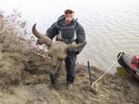Daniel Mann, University of Alaska Fairbanks