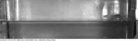 Gecko Running on Water in the Lab