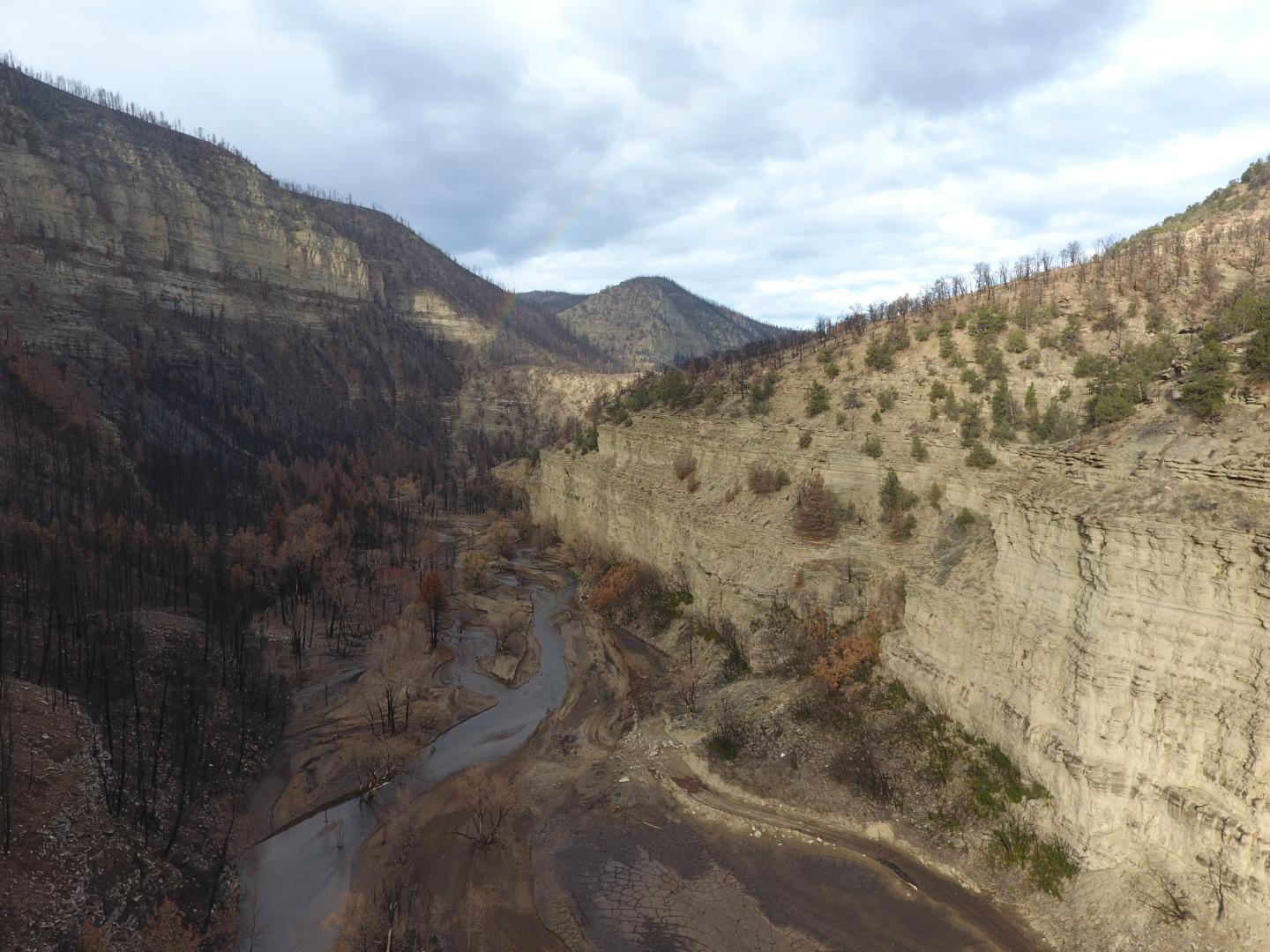 Strawberry River