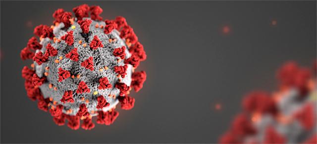 Two Complete Genome Sequence for the Virus