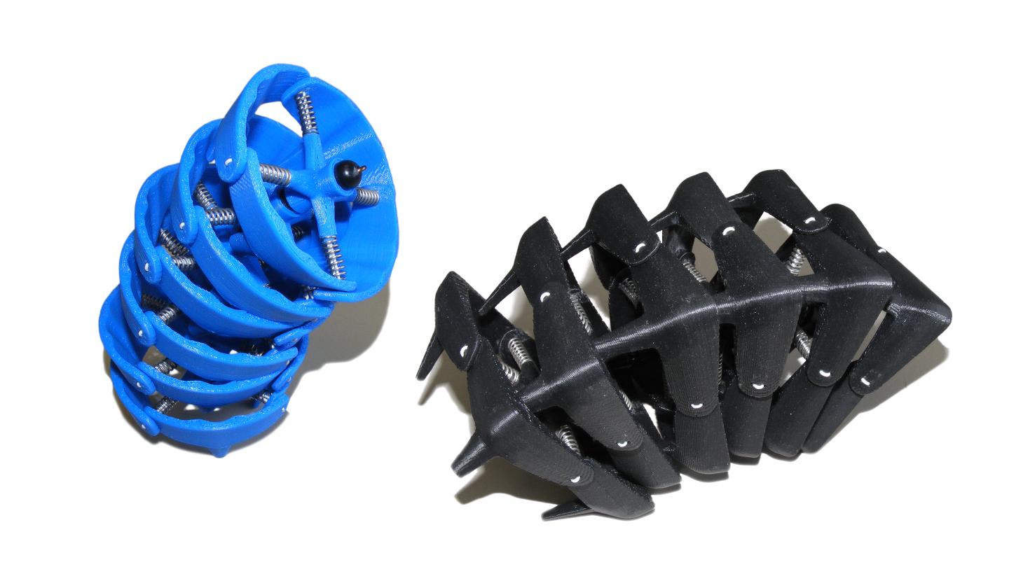 Be Square, Seahorse; It has Mechanical Advantages (8 of 10)