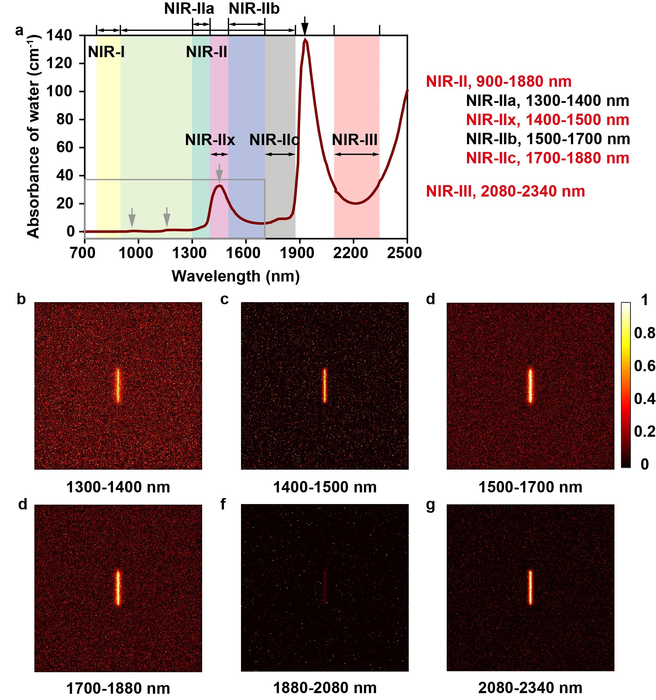 Figure 2 | The definition of the NIR imaging windows and their performance simulations.