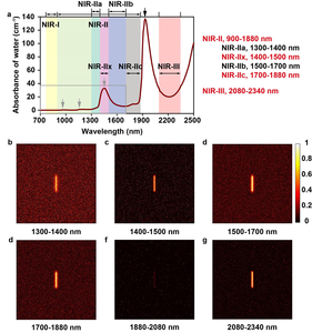 Figure 2 | The definition of the NIR imaging windows and their performance simulations.