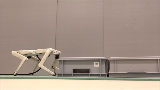 Solo 8 Robot in Action