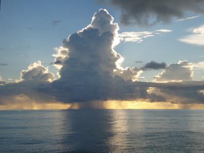 Tropical Convection