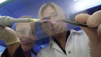 Blood Vessels from Your Printer