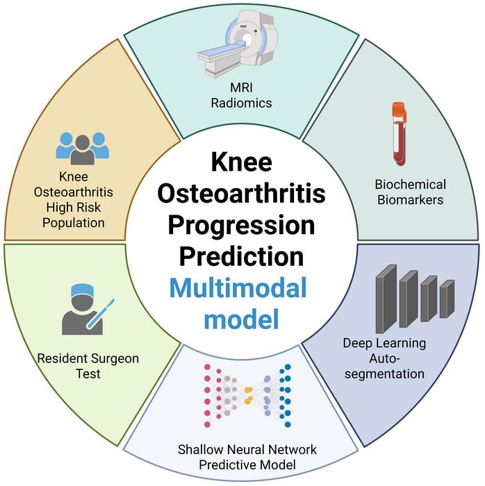 Improving prediction of worsening knee osteoarthritis with an AI-assisted model
