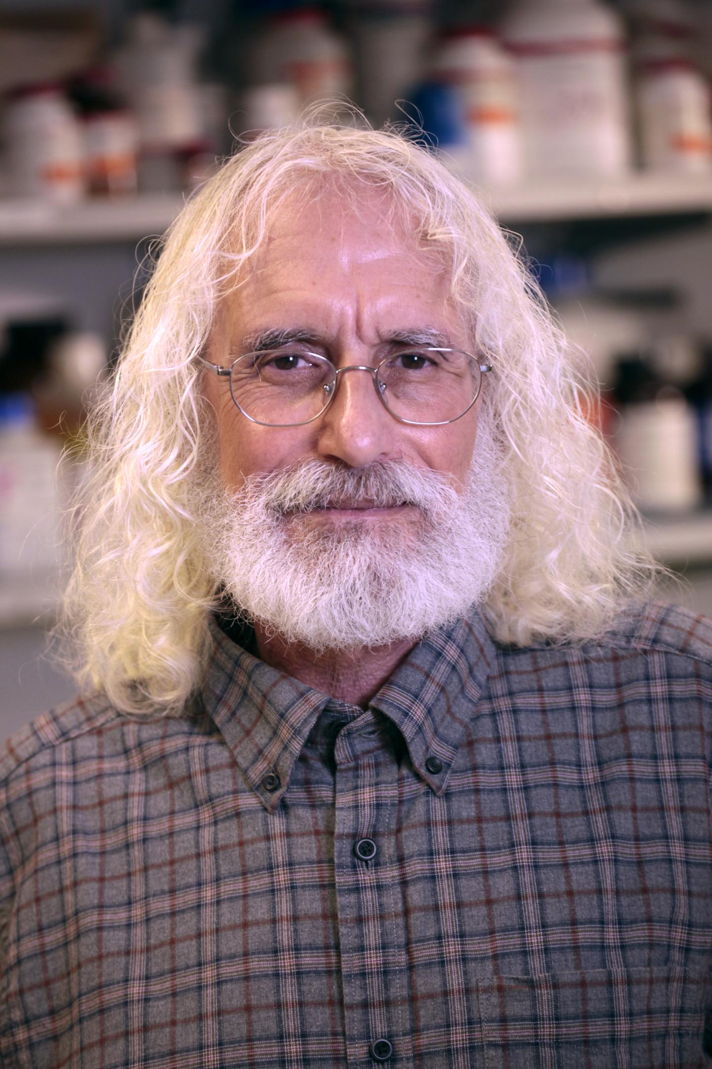 Phil Greenberg