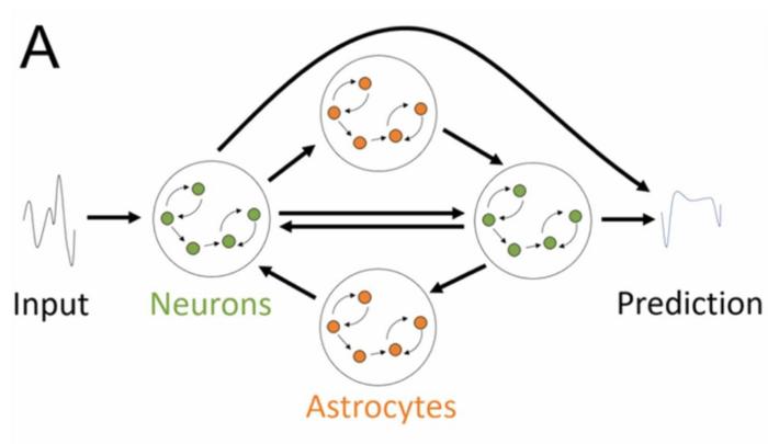 diagram of MURI AI network