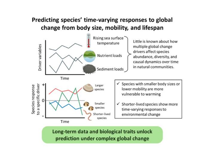Biological traits predict species’ time-varying responses to global environmental change