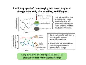Biological traits predict species’ time-varying responses to global environmental change