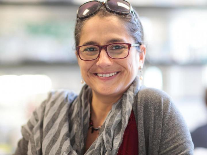 Alessandra Sacco, Ph.D., Sanford Burnham Prebys Medical Discovery Institute 