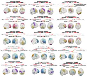 Fig. 3 | Synergistic and contradictory joint changes between FNC and GMV.