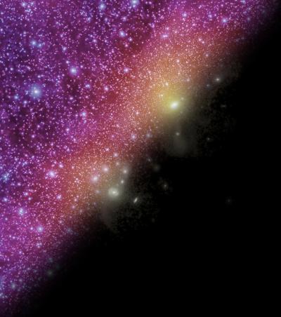 Local Group Dark Matter
